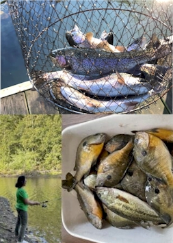 dover-trout-crappie